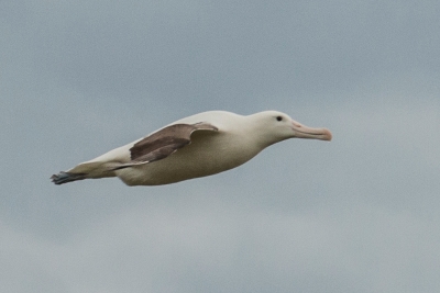 8003151