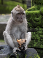 04D6FEA7-9FAB-41C4-8419-7D27294B7EE5