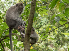 175CD00E-A90B-46FB-A747-50499901CFFA