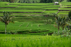 2B12EFCF-81C8-4826-AE7F-E8E6E34DDFD6