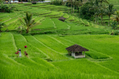 32AEC275-D315-4991-8D7F-051B7950B60B