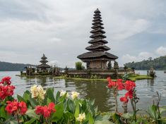 411BFEDB-71BF-460F-8E98-9BFB24F1755B