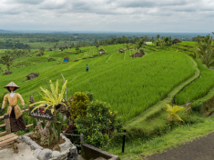 4D48F53E-5DDF-4EF6-A585-C47C619D9D4A