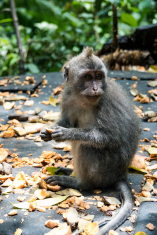 539FA3A2-359D-44DB-8047-DBE763B245DF