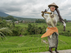 66DFB504-9AC2-47F7-8FA6-B047D7444F25