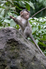 6926B10A-8647-4D8D-9B66-00D1151C63CB