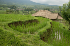 6FA5D702-2D05-4E84-BE0C-9EF99626A16C