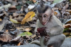 722AA7D1-B11E-4069-BAC5-57404097F7DC