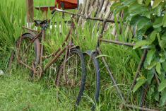 798AD637-672B-4E7A-AF10-2CBAB3D0A5FE