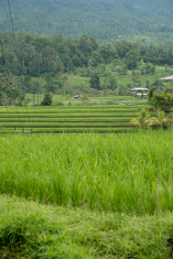 81E61389-E266-468D-83B4-7638BD23AA80