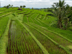 8397ACDB-D991-44B4-A39F-D00CB42B152A