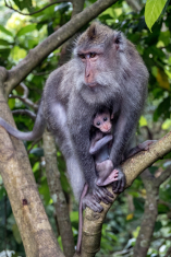 CFA61961-ACBE-4965-920E-40F045D7507B