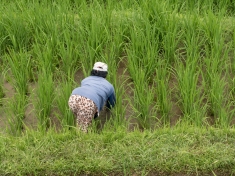 D7986E1D-B9EB-4A7C-B47C-E9A148A1D974