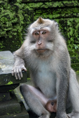 E2EA21E4-4D3F-43B6-9025-00A0CBC4B1FA