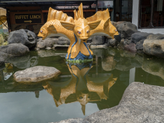 F20DAB05-B4D7-4E06-B7D6-B97949162A99