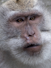 F5DB180D-F81B-468C-B2C7-65EED616356F