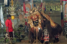 FC8C27ED-DCA4-43EC-9E1F-EA98268AAF94