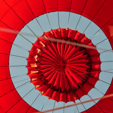 B378038F-4249-439D-BA65-954FD0C29885