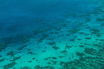 dsc_1900
