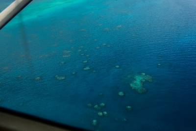 dsc_1904
