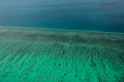 dsc_1944
