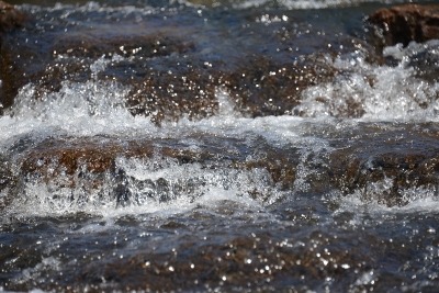 dsc_6293