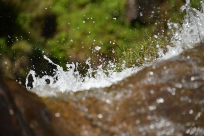 dsc_6296