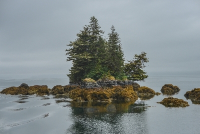 800_7636