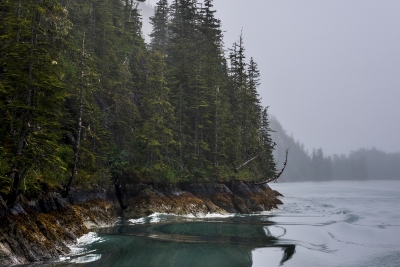 dsc_8689
