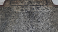 F37A6429-CC21-44AC-87FD-CC1E35FAD9AE