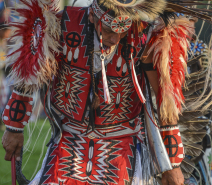 DSC_8579