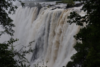 dsc_6988