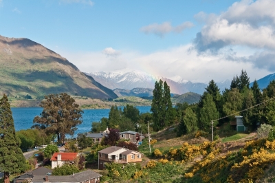 Lake Wanaka View